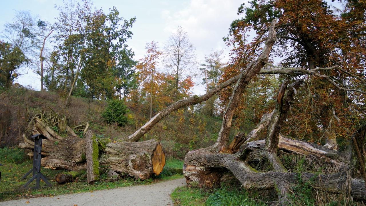 Sępólno Krajeńskie Palac Komierowo מראה חיצוני תמונה